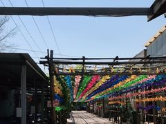 -亲兄弟真人CS团建拓展基地