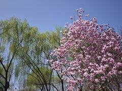 -石家庄市植物园