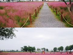 -汉长安城未央宫国家考古遗址公园