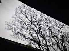 -都江堰景区