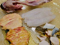 -孔庆璞河豚馆(白玉兰酒店)