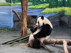 -秦皇岛野生动物园