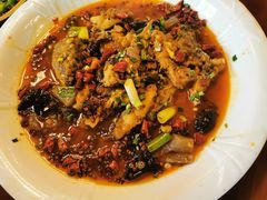 -龙翔山庄雷鸡肉(青城后山泰安古镇店)