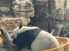 -石家庄市动物园