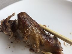 -食家鸽园