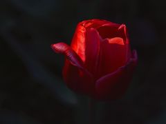 -长春公园(普阳街道)