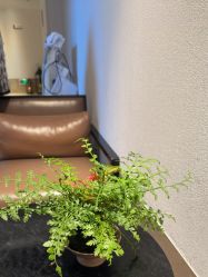 -上海薇琳医疗美容医院