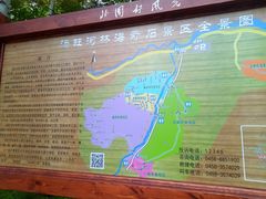 -汤旺河林海奇石景区