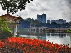 -荔湾湖公园