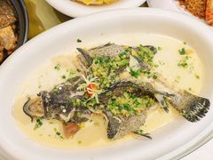 -有腥气私房菜·寻味顺德