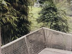 -胶囊画廊
