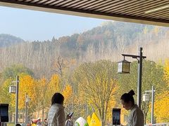 -千年银杏谷文化旅游区