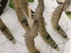 深水虾-江南福宴·澳门海鲜.牛肉火锅(汇高栢悦中心店)