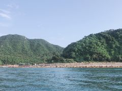 -杨梅坑