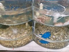 -叶存利海鲜大馅饺子(东戴河止锚湾店)
