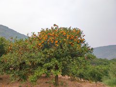 -南北湖风景区