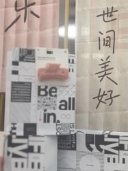 -卓拓普拉提