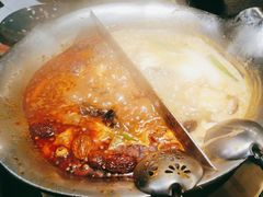 台式麻辣花胶鸡鸳鸯锅-湊湊火锅·茶憩(世博大道店)