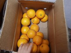 -叁宫礼水果批发仓储店(梅江店)