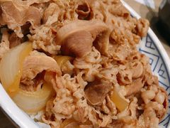 招牌牛肉饭沙拉套餐-吉野家(红博中央公园店)