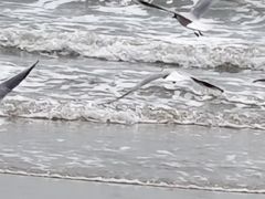 -北戴河东海水浴场