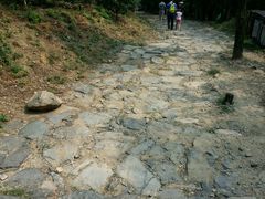 -阳台山自然风景区