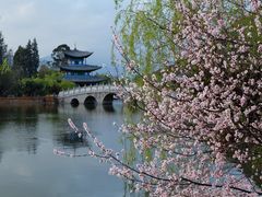-黑龙潭公园