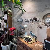 探店🐛网红下午茶