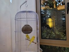 -浙江安吉JW万豪酒店·万豪中餐厅