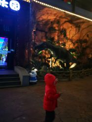 点击看大图 -宝燕乐园(闵行旗舰店)