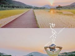 -艾米稻香小镇