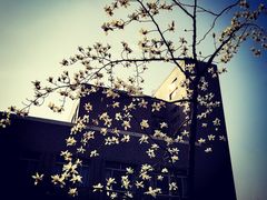 -河海大学(江宁校区)