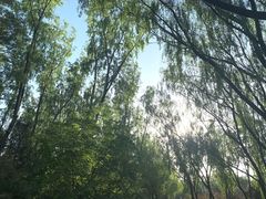 -森林公园(尖草坪区)