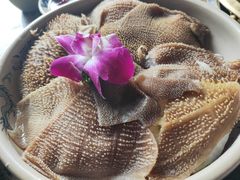 -小龙坎老火锅(鹤伴一路店)