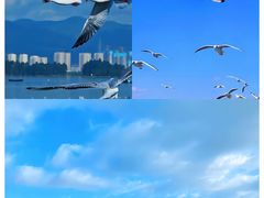 -海埂大坝