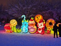-沈阳奥体冰雪嘉年华