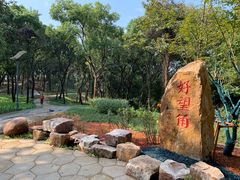 -上海市保健医疗中心(华东疗养院)