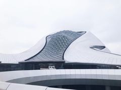 -哈尔滨大剧院