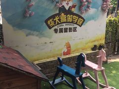 -柴犬高等学院·狗咖·柴犬售卖·宠物训练