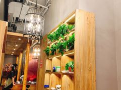 -魚说纸包鱼(中关村店)