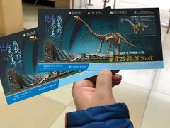 -自贡恐龙博物馆