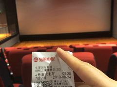 -华美国际影城(旧宫永辉店)
