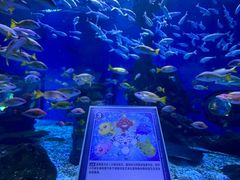 -海合安武汉极地海洋公园