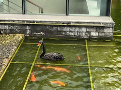 -南宁荔园维景国际酒店·荔园中餐厅