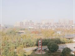 -前关湿地公园