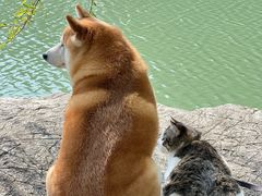 -丁香湖公园