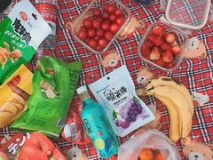 -昆山城市生态森林公园