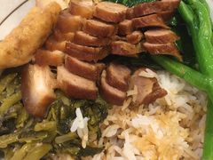 -狮头牌卤味研究所·卤味饭(花城汇南区店)