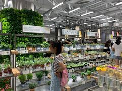 -鹿岛生活(熙地港店)