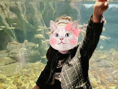 -江和美海洋公园
